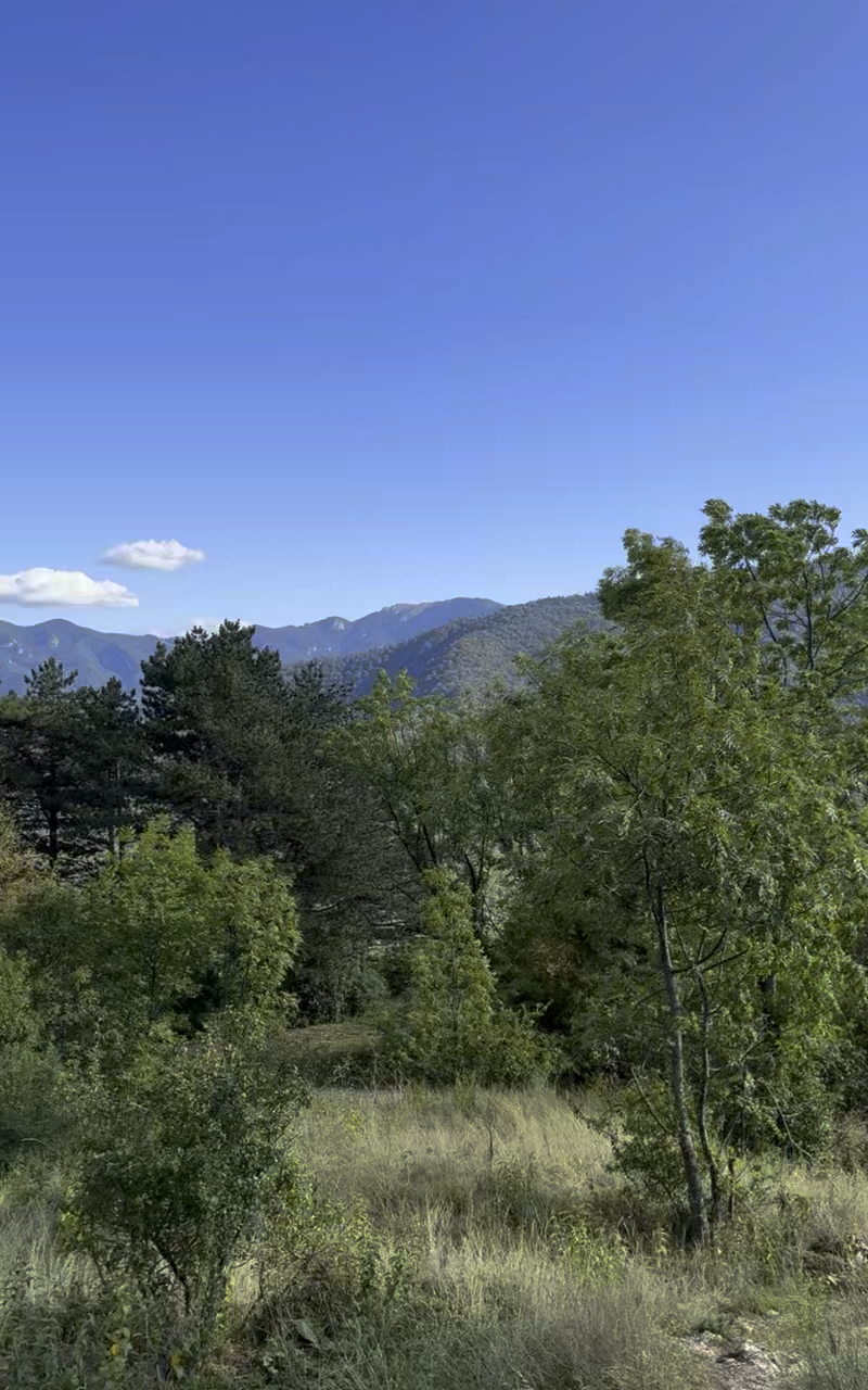 Yury's Wonderful Event (charity)