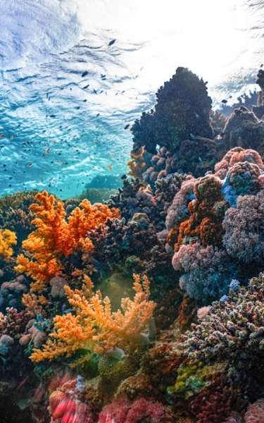 Heather's Wonderful Event