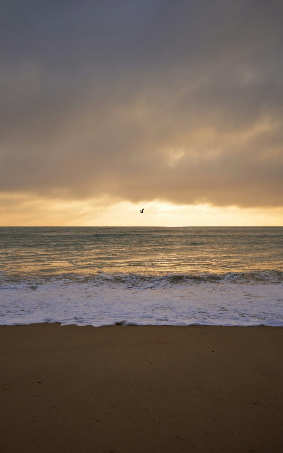 Dari's Calendar? Event