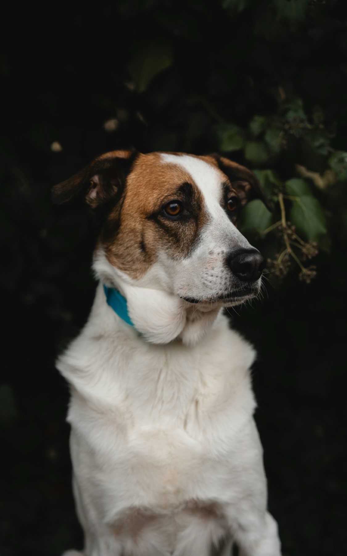 VIKUSUA's Wonderful Event