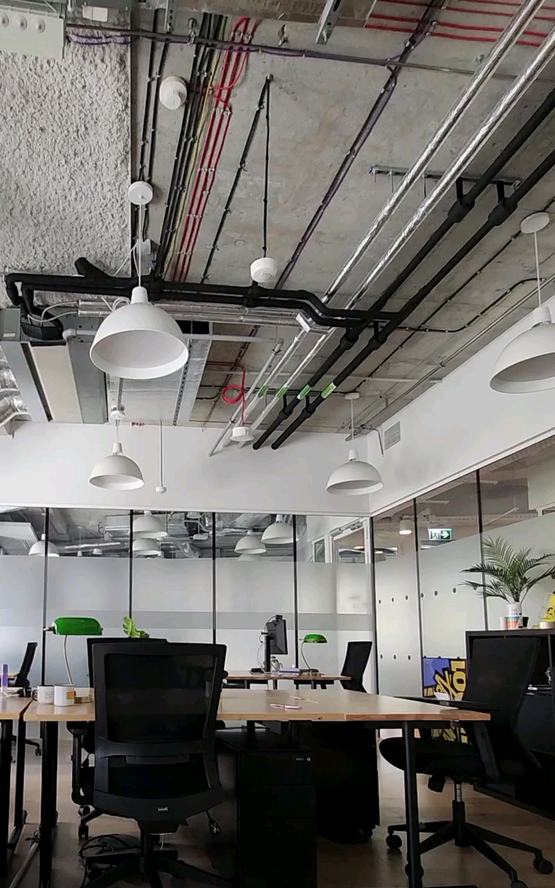 Alina's Wonderful Event