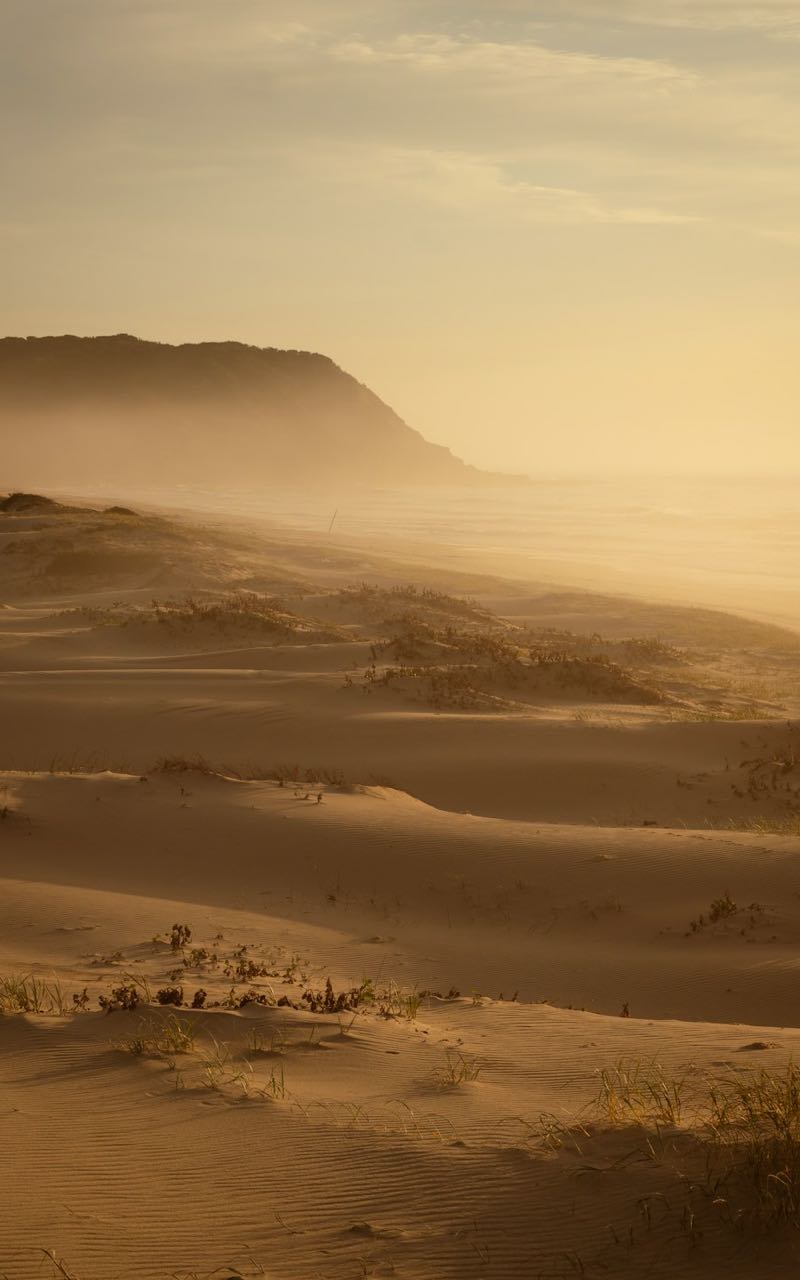 Da's Squad, Master Paid Event