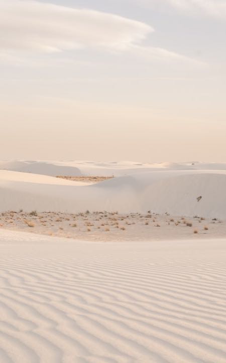 Rest's Wonderful Event