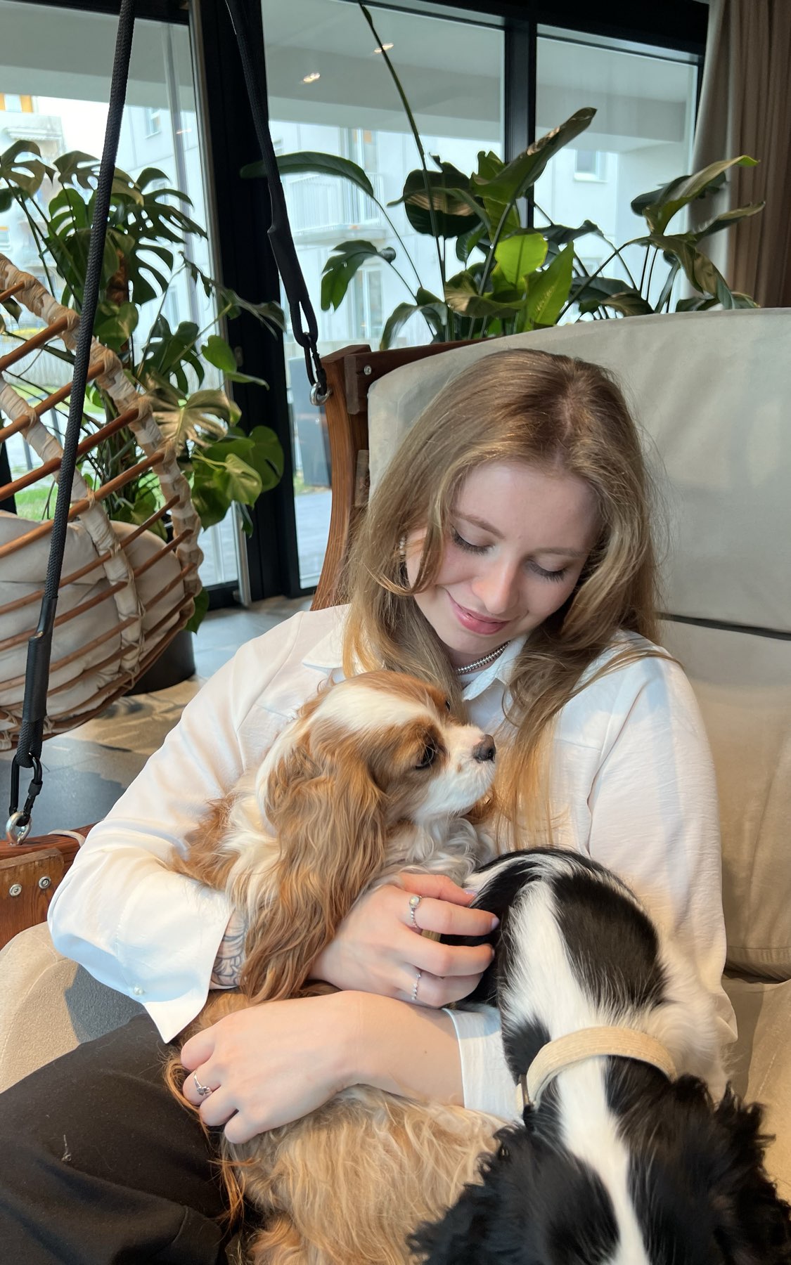 Viktoria main picture